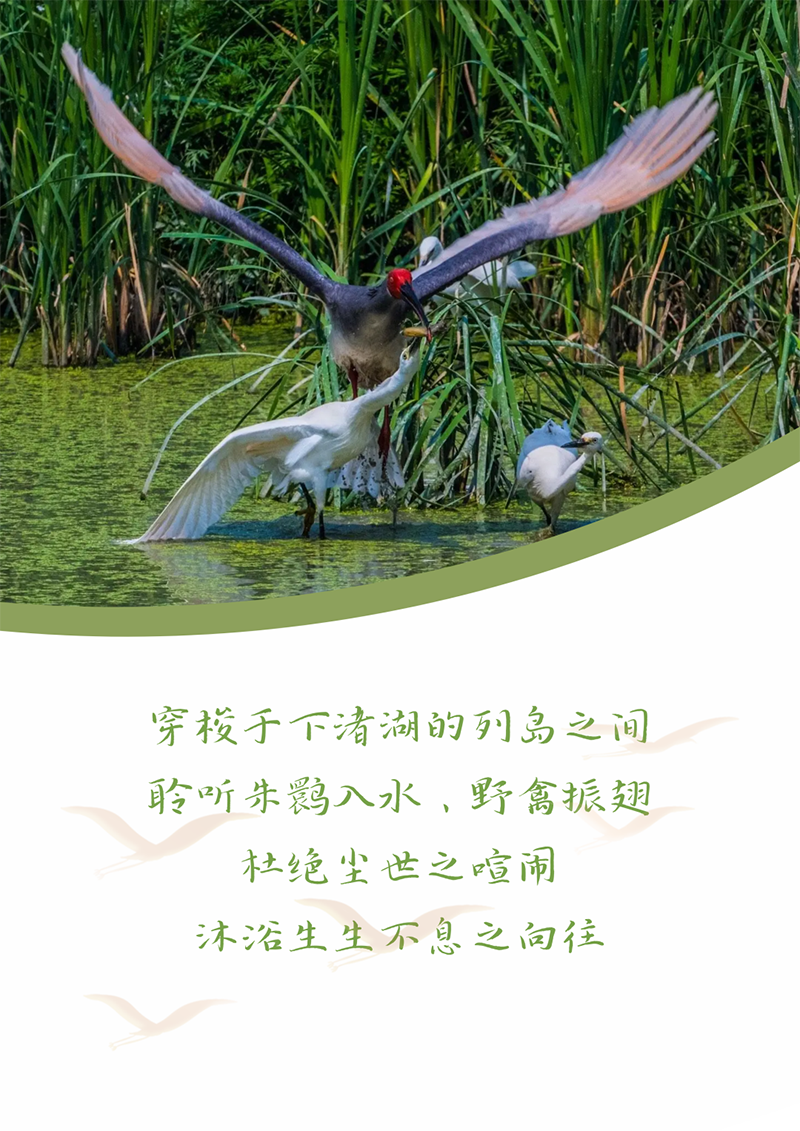 心心念廿 相伴人生就是搏 | 与德清相约 贺廿载诞辰
